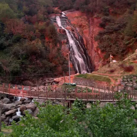 Agaran Wooden * Rize